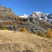 Colori d'autunno in Val d'Ayas