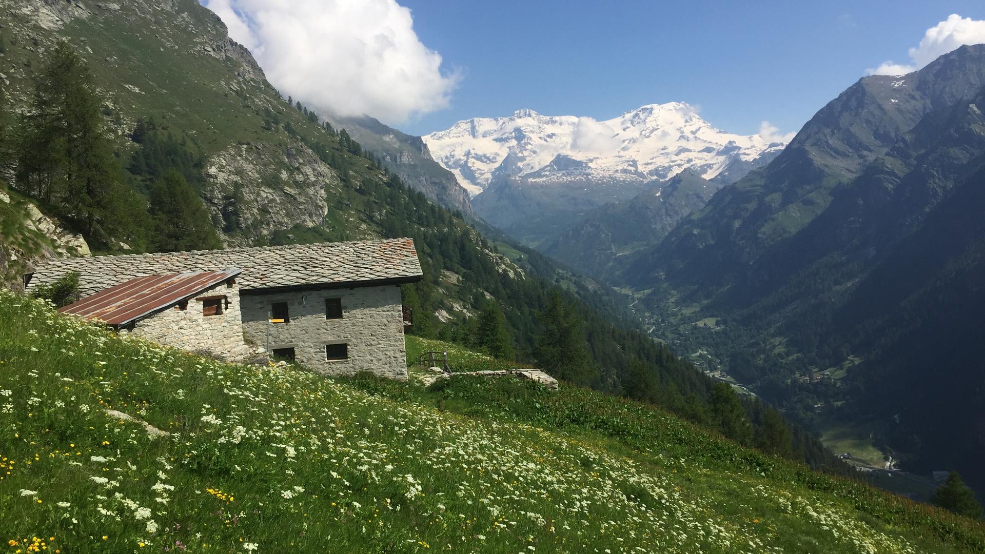 monte rosa