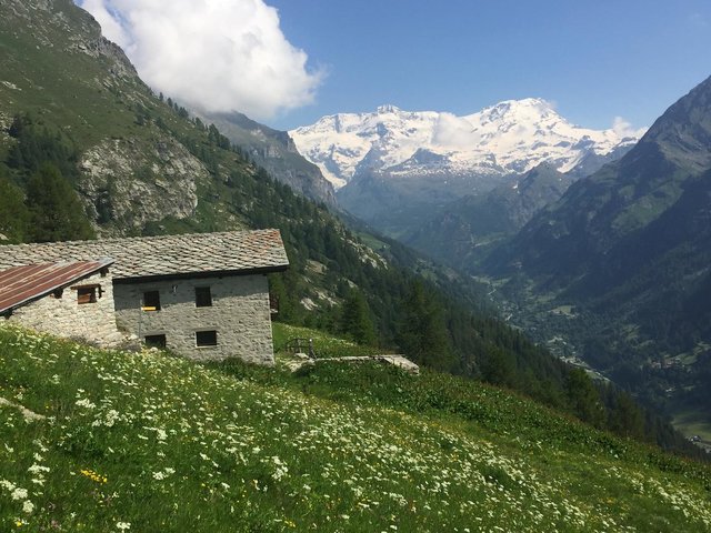 monte rosa